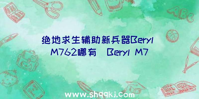 绝地求生辅助新兵器Beryl